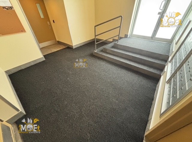 Nettoyage de tapis