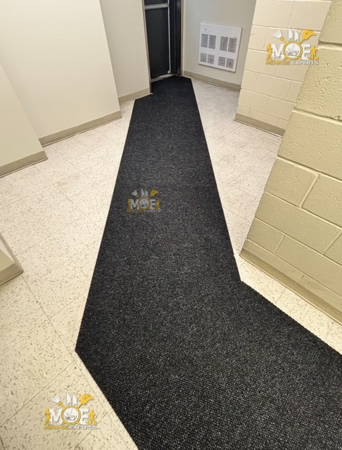 Nettoyage de tapis