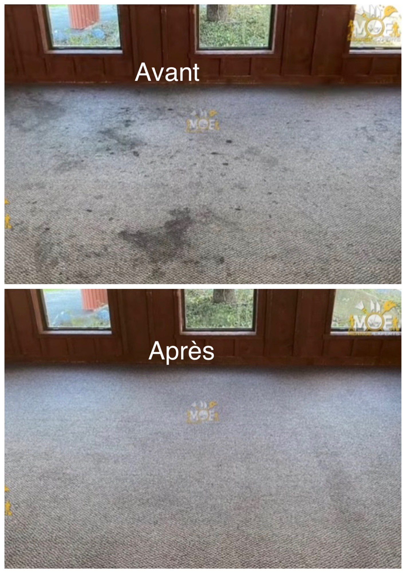 Nettoyage de tapis commercial à Montréal