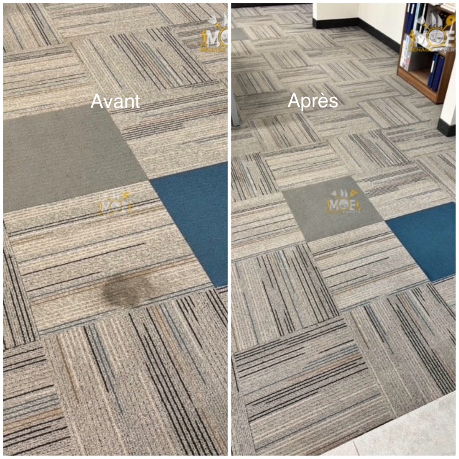 Nettoyage de tapis à Montréal