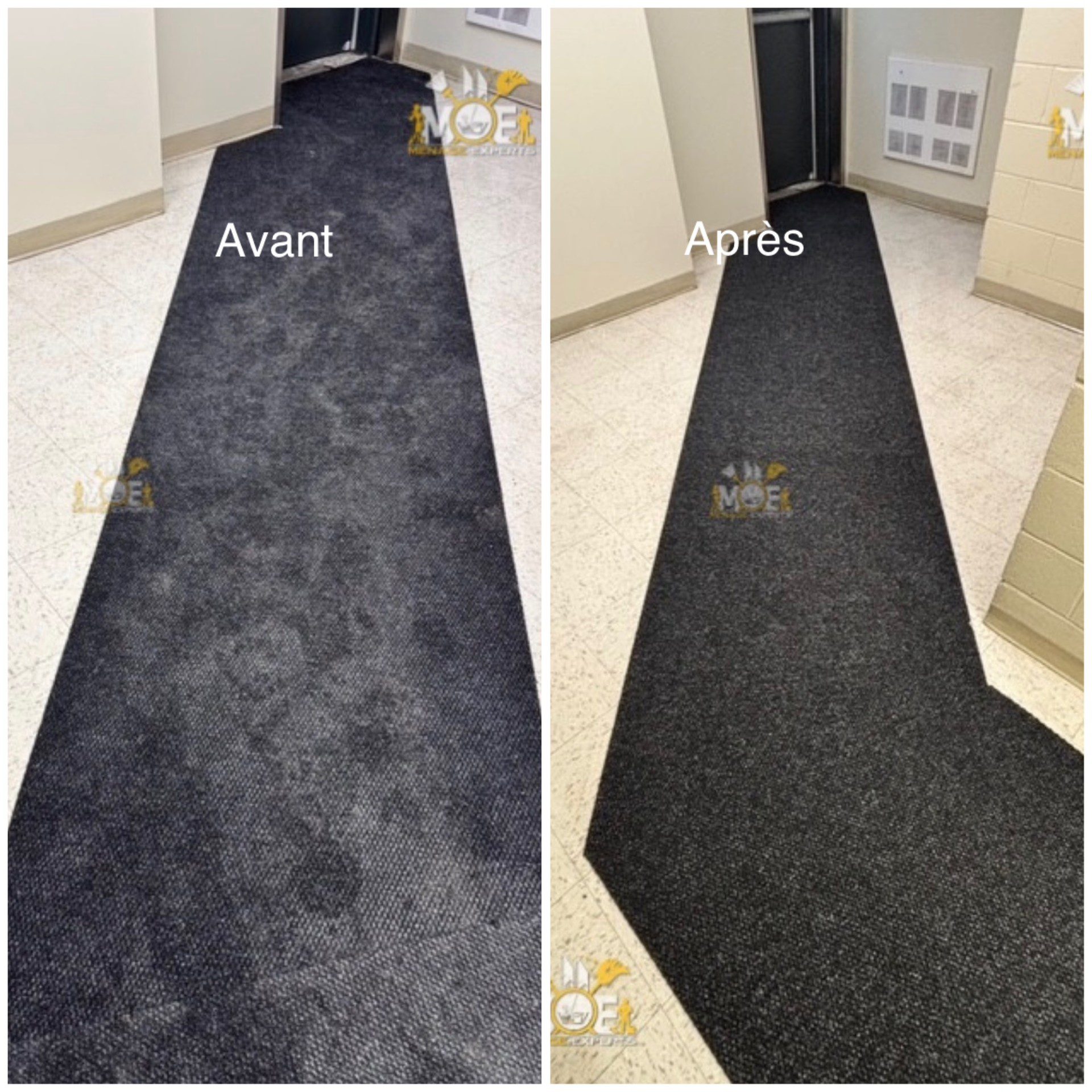 Nettoyage de tapis commercial
