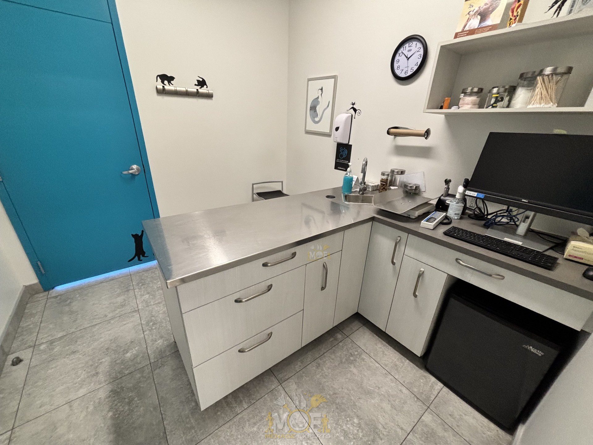 Nettoyage de clinique vétérinaires