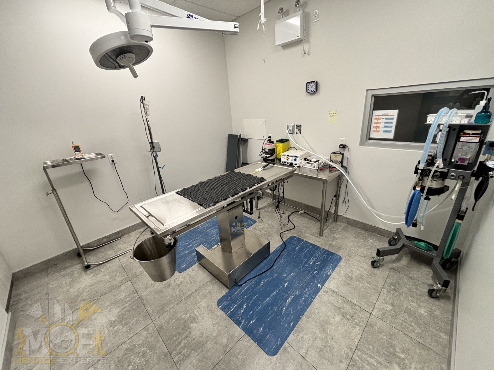 Nettoyage de clinique vétérinaire