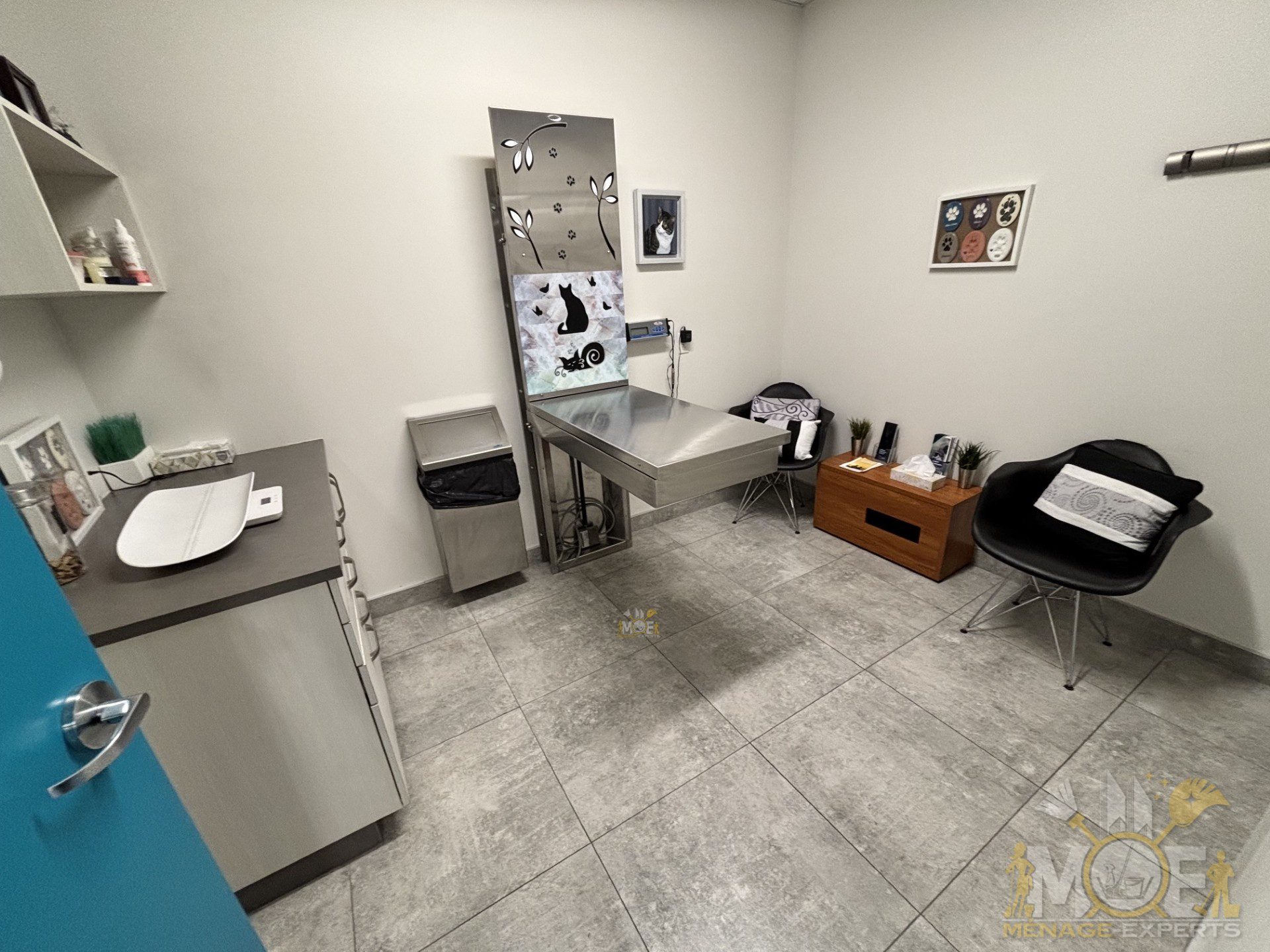 Nettoyage des cliniques vétérinaires